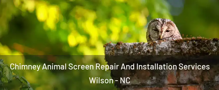  Chimney Animal Screen Repair And Installation Services Wilson - NC