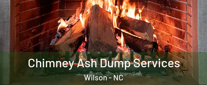  Chimney Ash Dump Services Wilson - NC