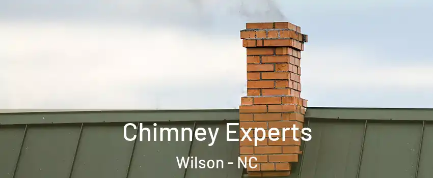 Chimney Experts Wilson - NC