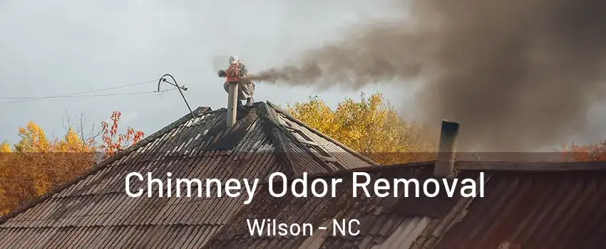  Chimney Odor Removal Wilson - NC