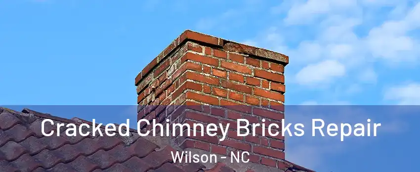 Cracked Chimney Bricks Repair Wilson - NC