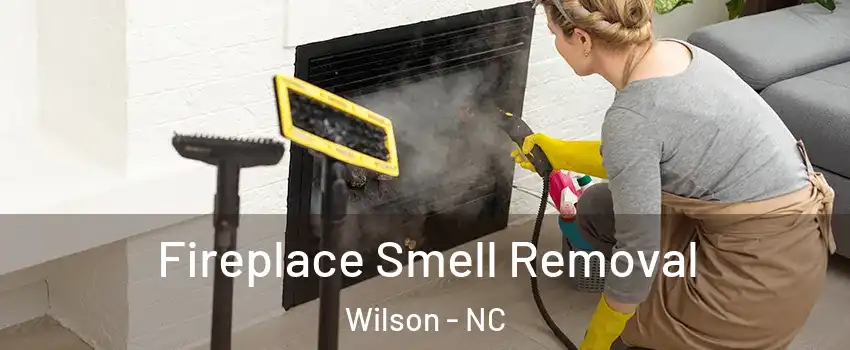  Fireplace Smell Removal Wilson - NC