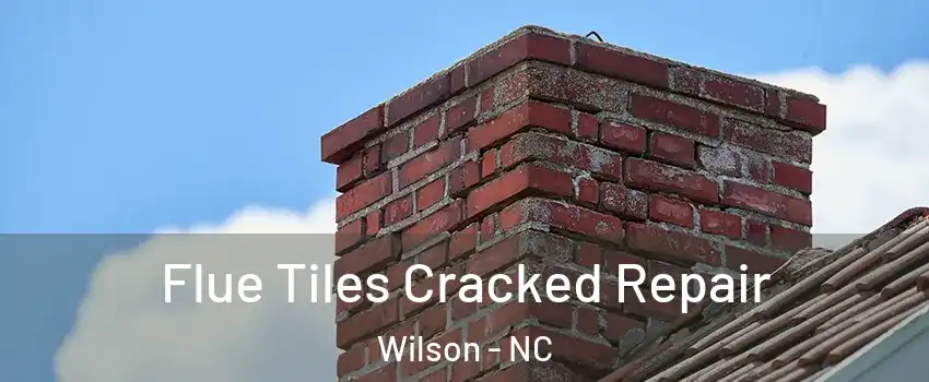  Flue Tiles Cracked Repair Wilson - NC