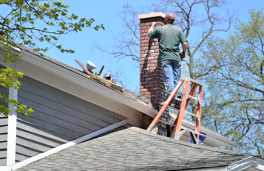 Chimney & Fireplace Inspections Services in Wilson, NC