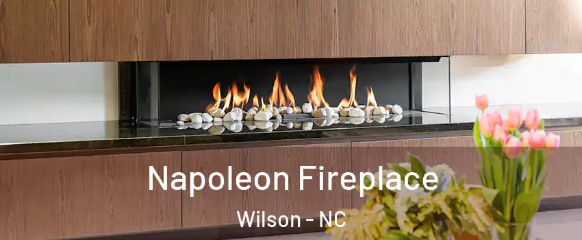  Napoleon Fireplace Wilson - NC