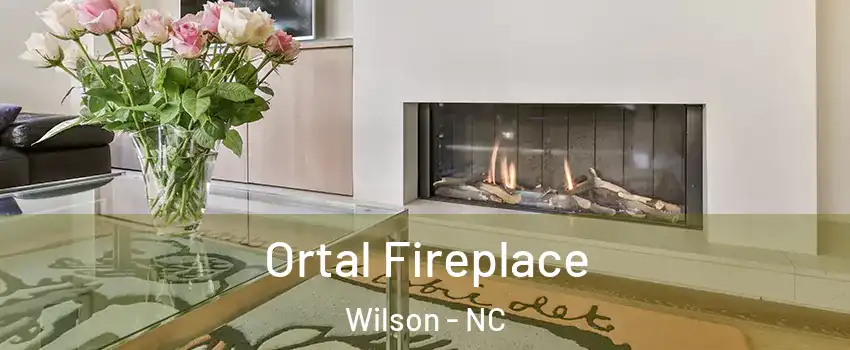 Ortal Fireplace Wilson - NC